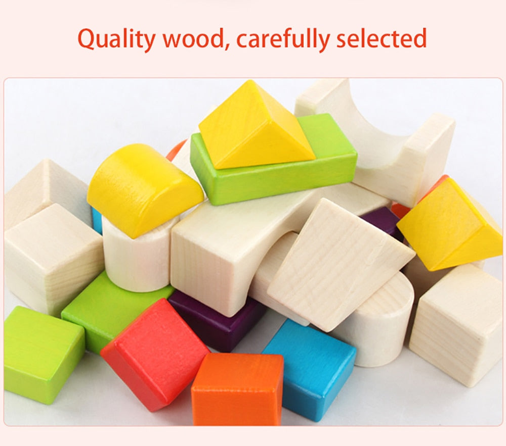 Wooden Block Set - 30 Colour Pieces